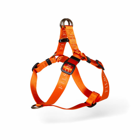 Filson Trusted / Adjustable Nylon Dog Harness